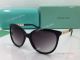 AAA Replica TF Brown Sunglasses - Fashion Sunglasses for Ladies (3)_th.jpg